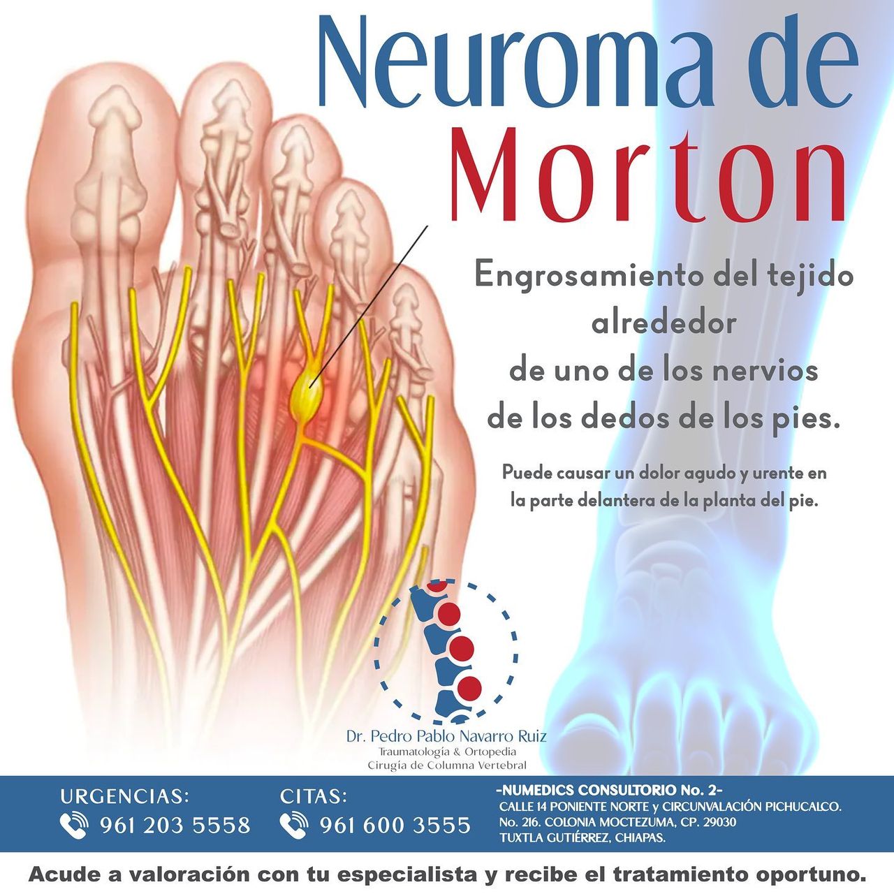 Pedro Pablo Navarro Ruiz-15