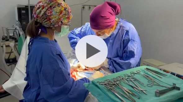 Maritza Morales Aguilar-0