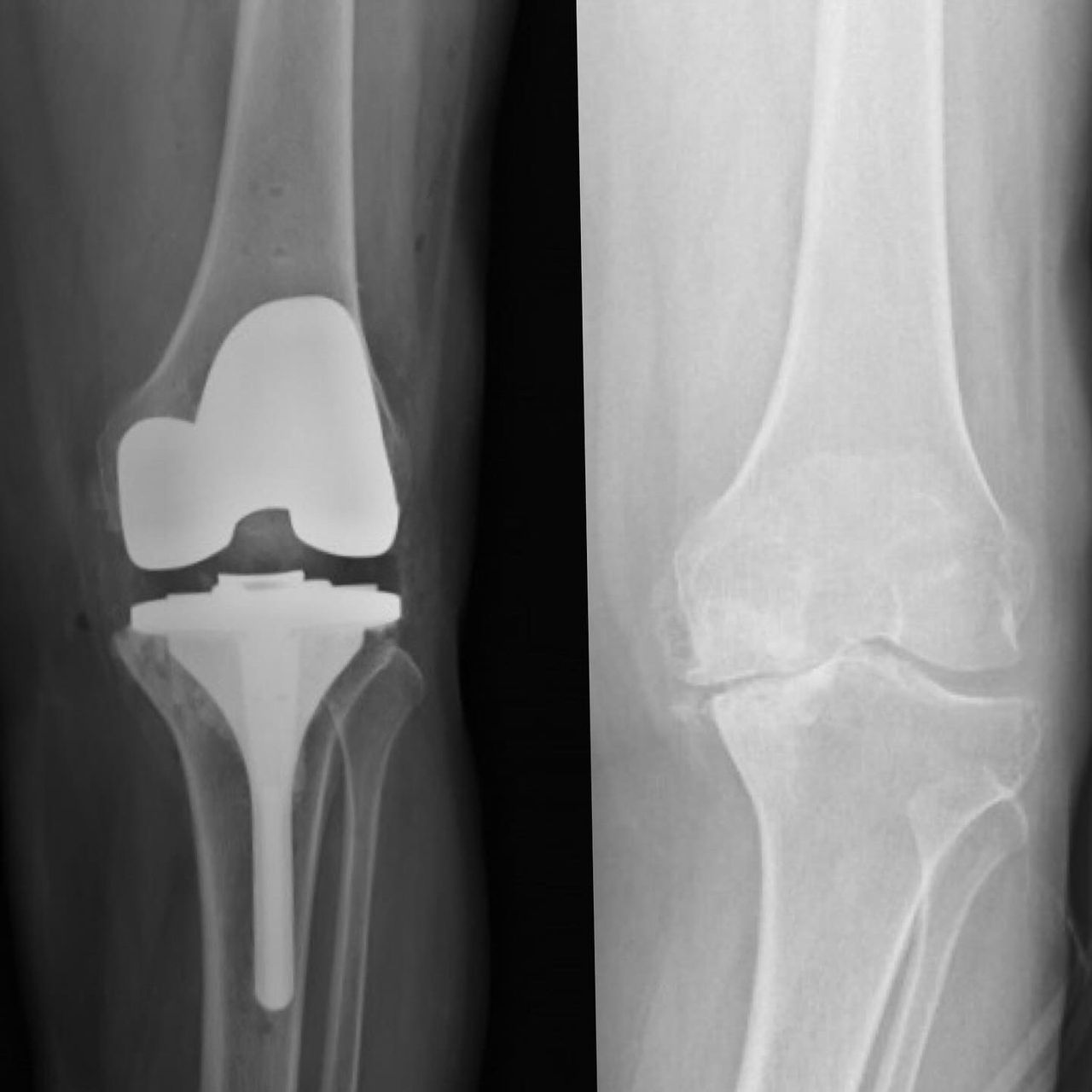 Alejandra Fuentes Martínez-5