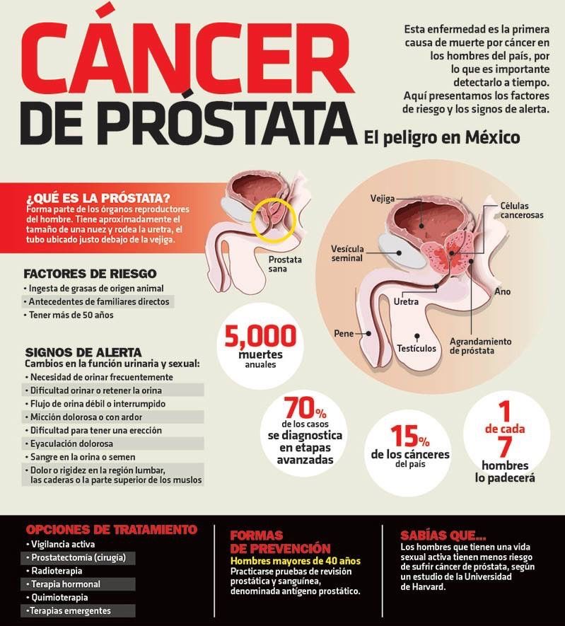 Alejandro Ibarra Ordóñez-20