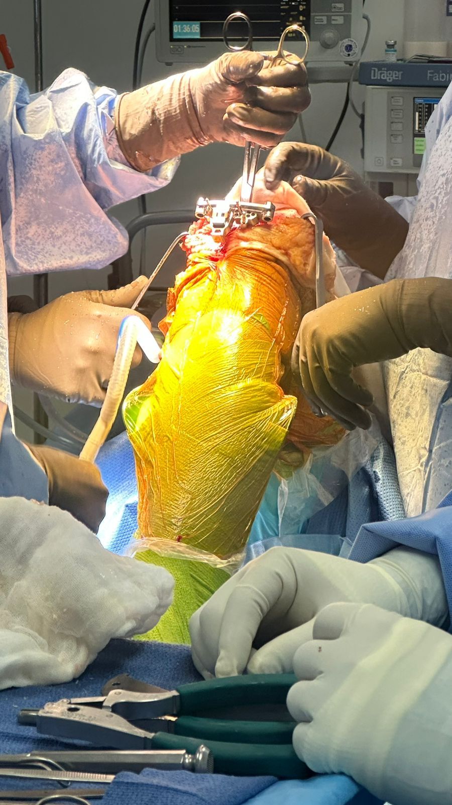 Rodrigo Alamilla López-17