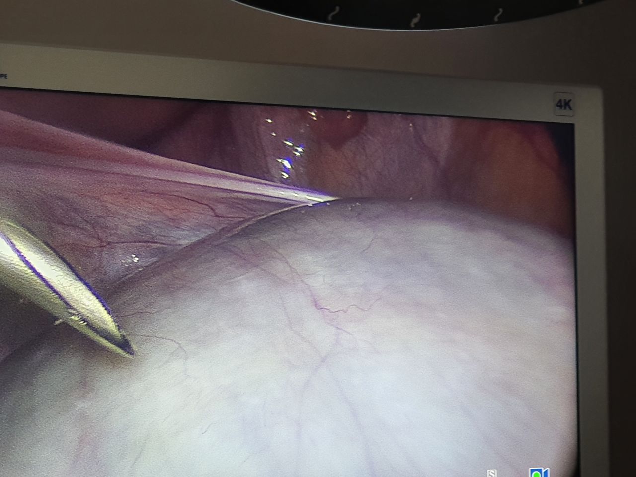 Nancy L. Roman Estrada-49