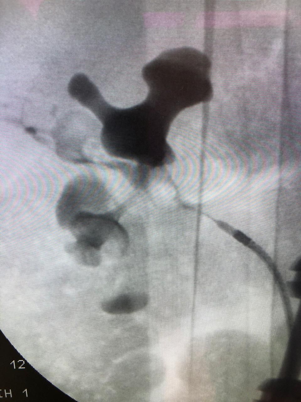 Gerardo Rodrigo Lemus Mena-5