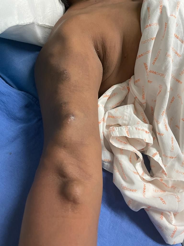 Paloma González Villegas-9