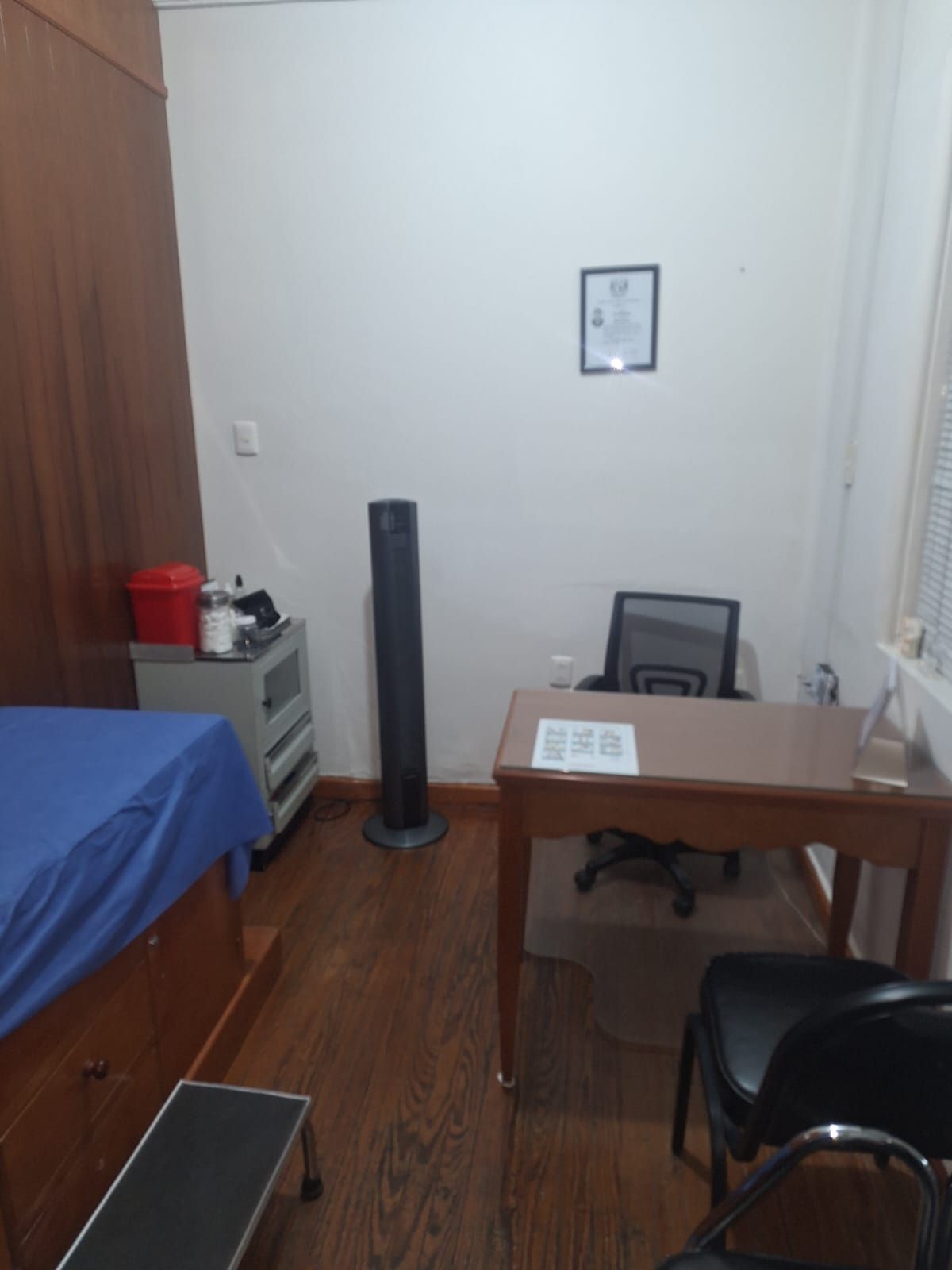 María Isabel Castrejón Vázquez-8