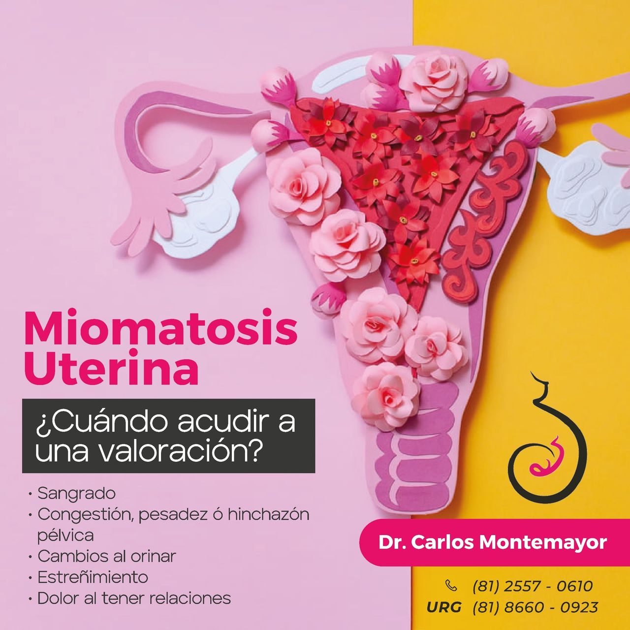 Carlos Humberto Montemayor Villalon-18