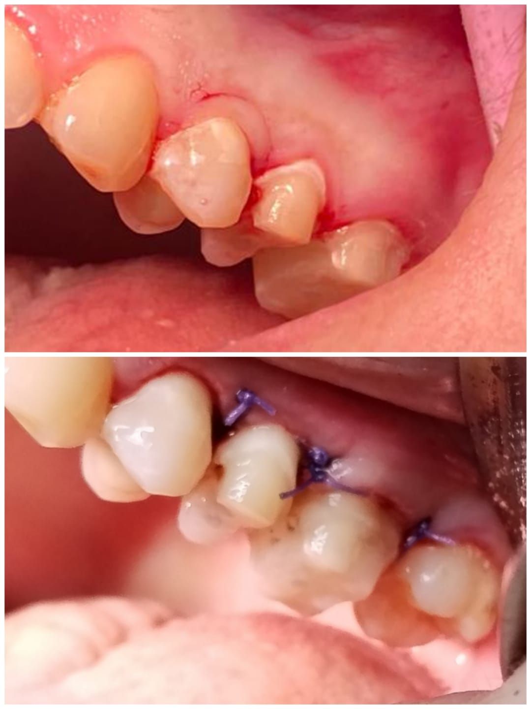 Assalia Anais González Hernandez-9