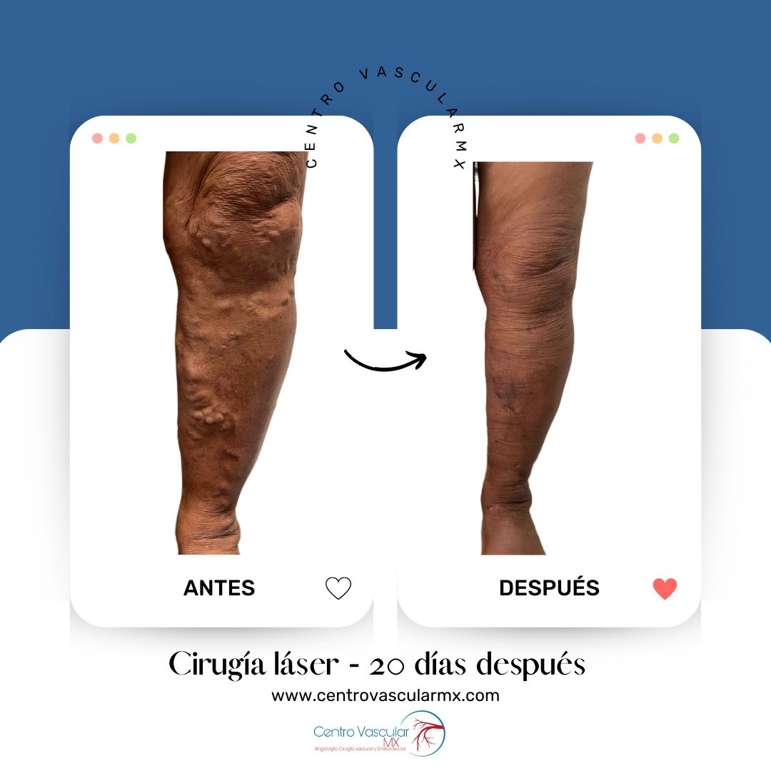 Vicente Andrés Alvarado Velez-1