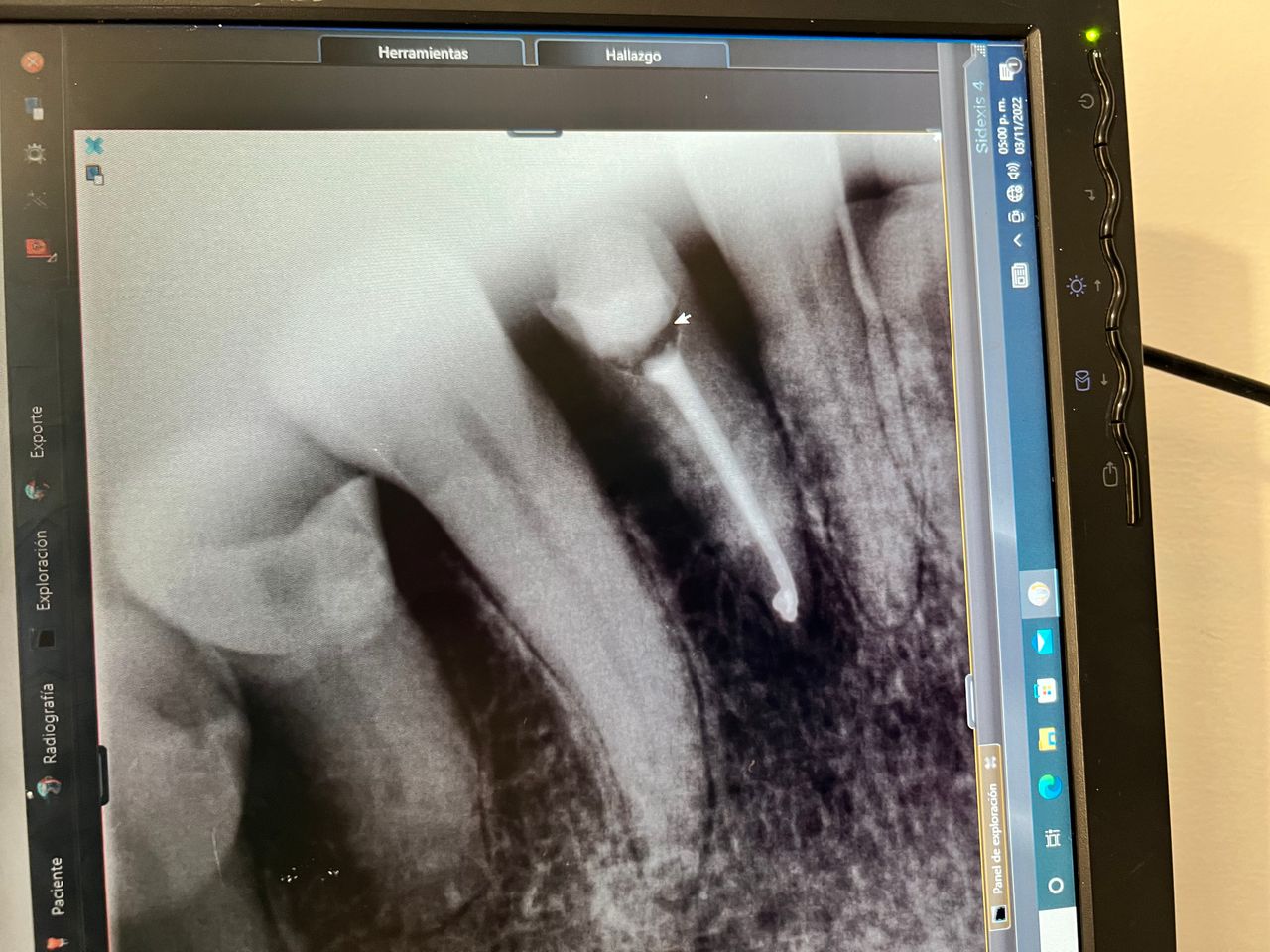 Sonia Lucía Senties Perez Carreño-5