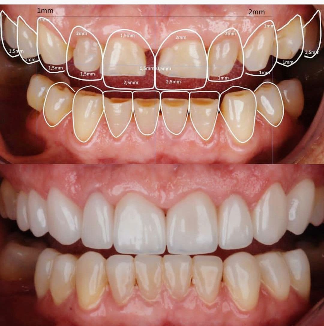 Leticia Montemayor Estrada-22