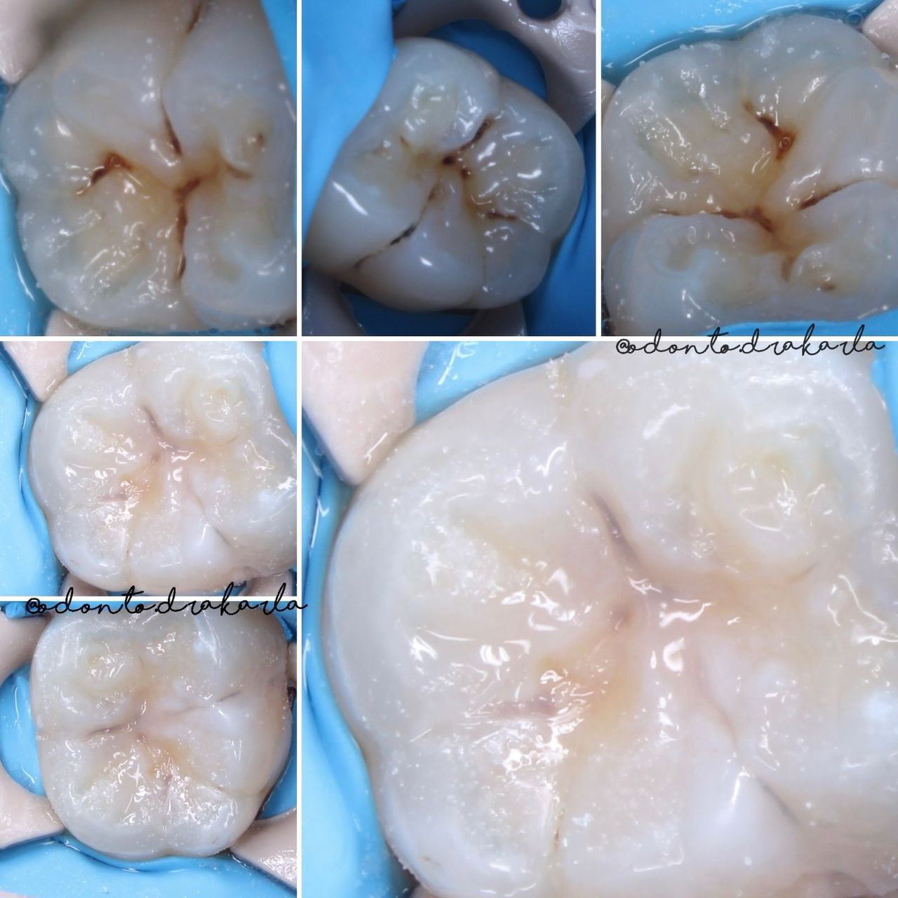 Karla G. Sánchez Espinoza-12