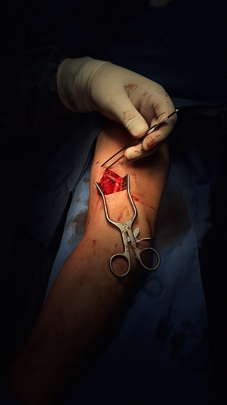 Francisco Navarro Velázquez-0