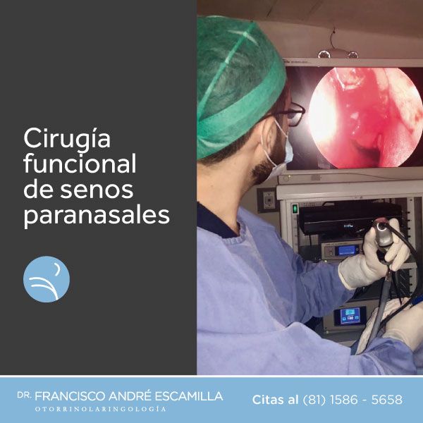 Francisco André Escamilla Islas-3