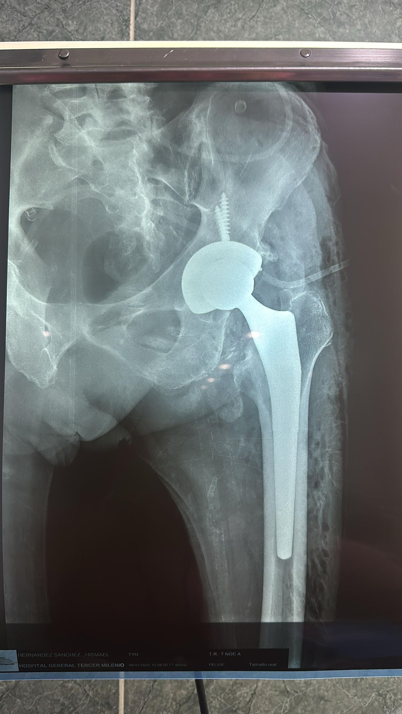 Marco Paolo Mazzini Berra-7