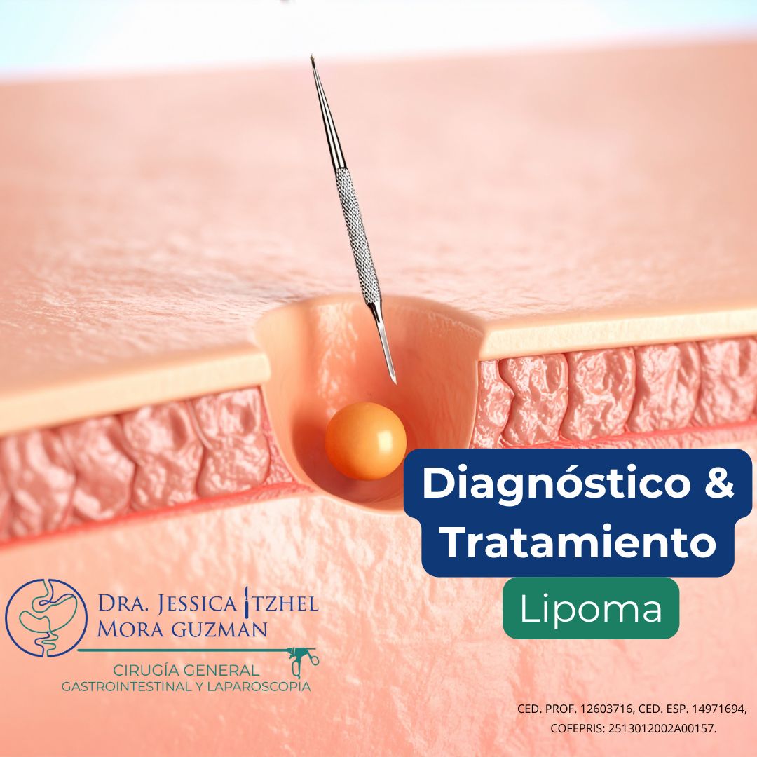 Jessica Itzhel Mora Guzman-5