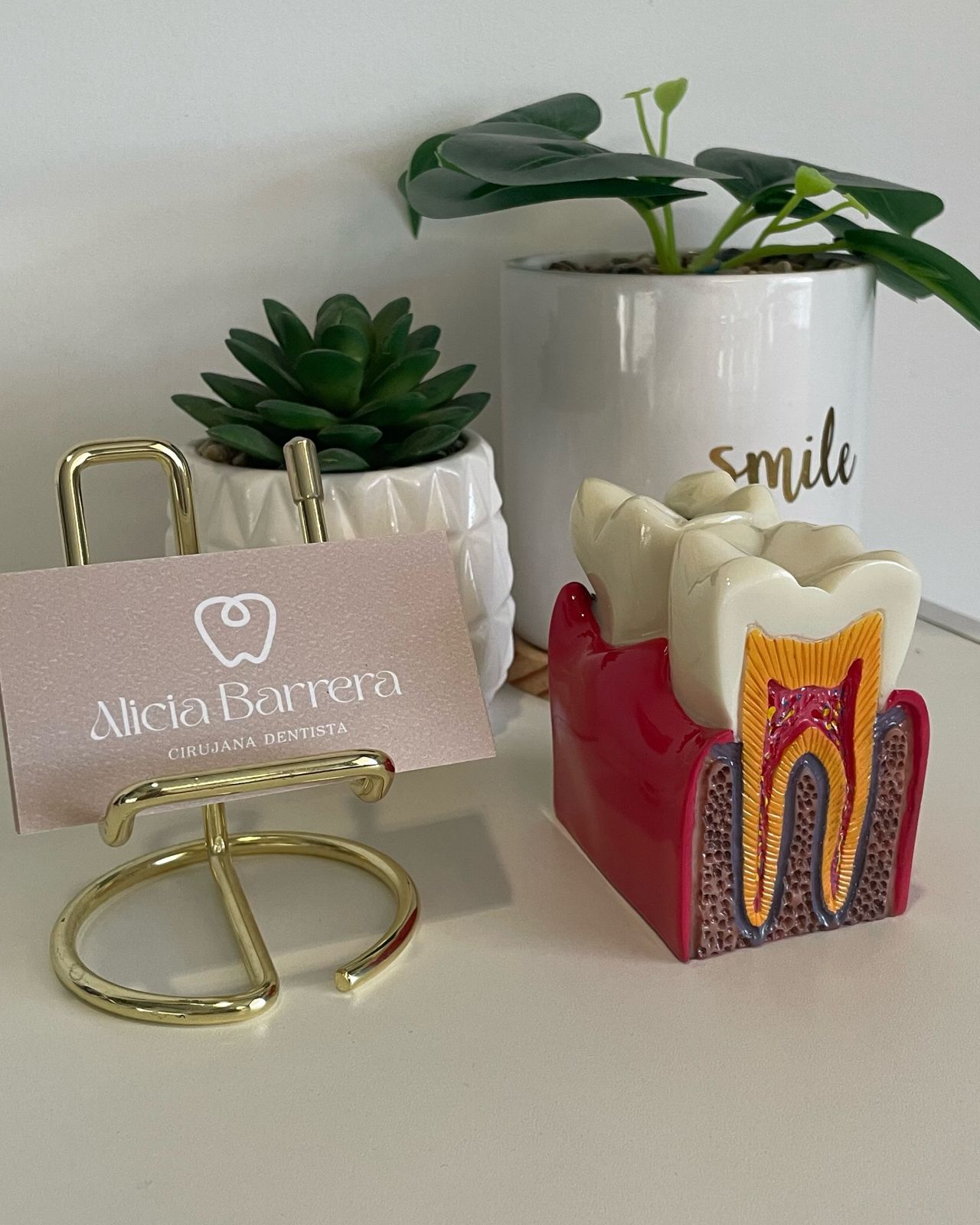 Alicia Esperanza Barrera Vargas-1