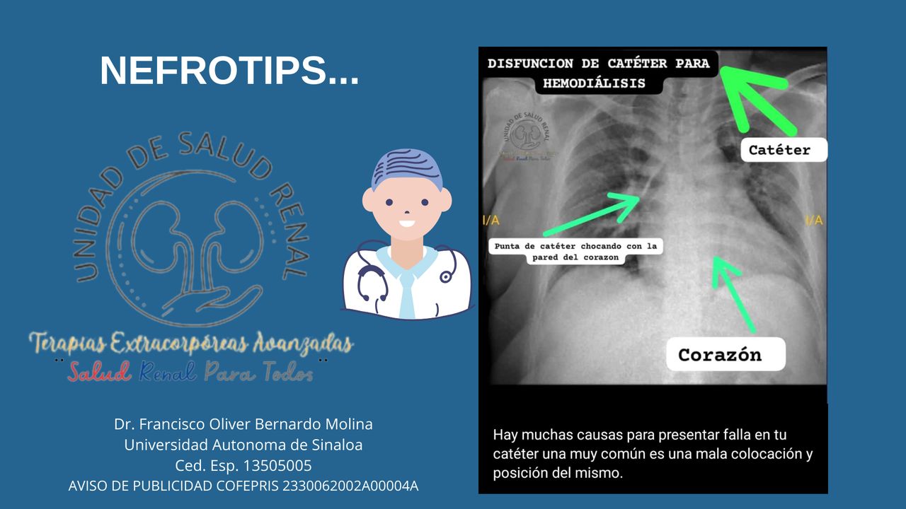 Francisco Oliver Bernardo Molina-2