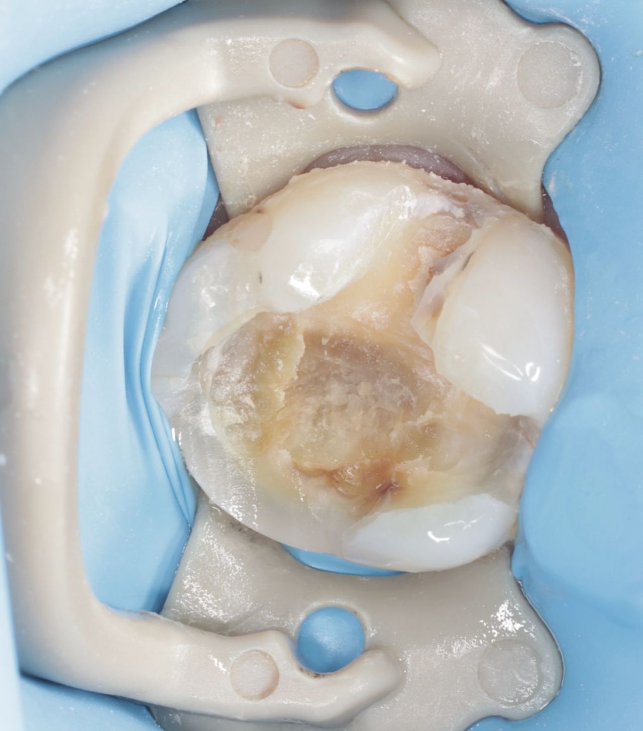 Fredy Alejandro Roblero Gónzalez-50