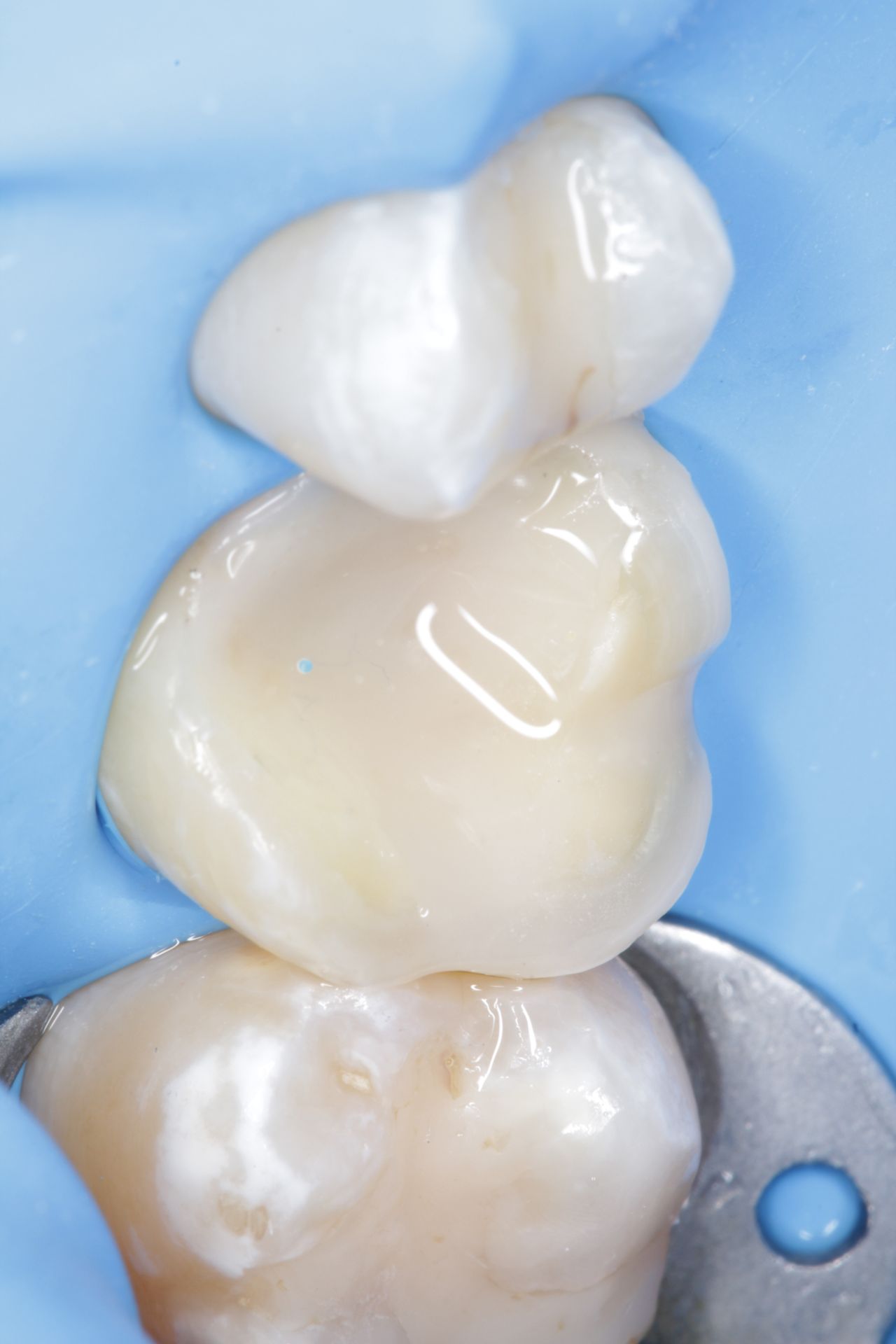 Sebastian Enrique Pérez Alvarez-1