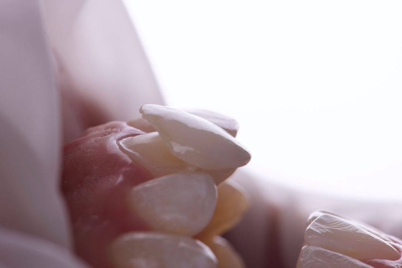 Daniela Méndez Marrón-15