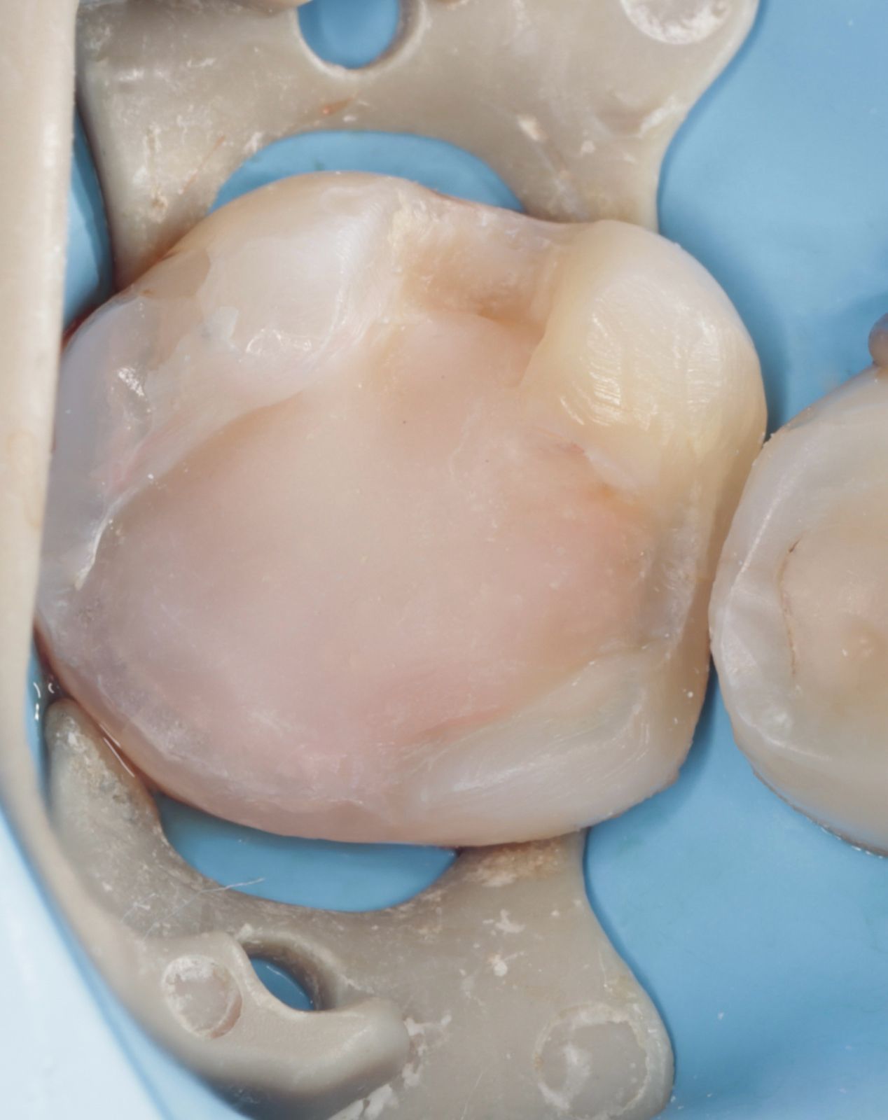 Fredy Alejandro Roblero Gónzalez-57