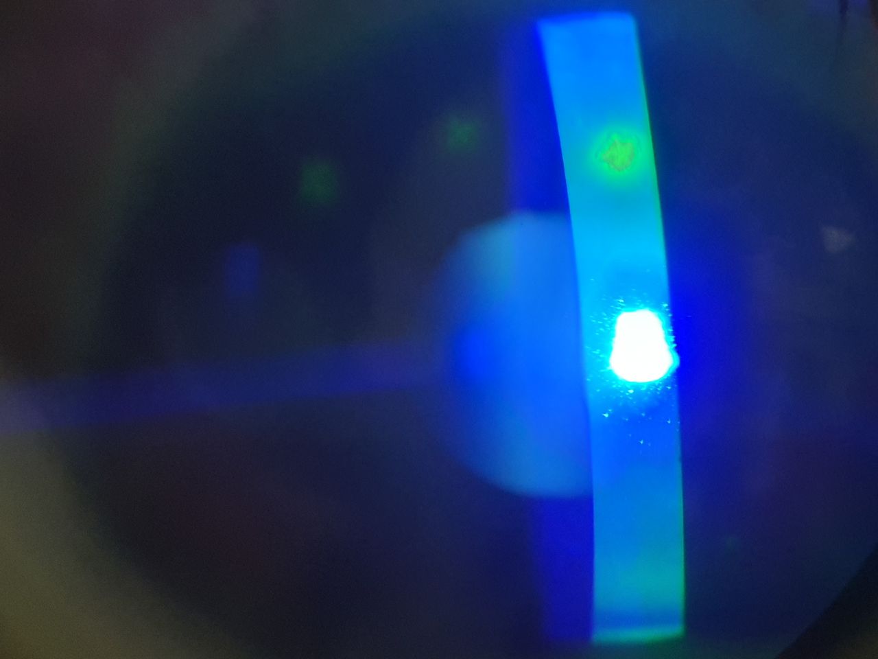 Brenda Sánchez Laguna-14