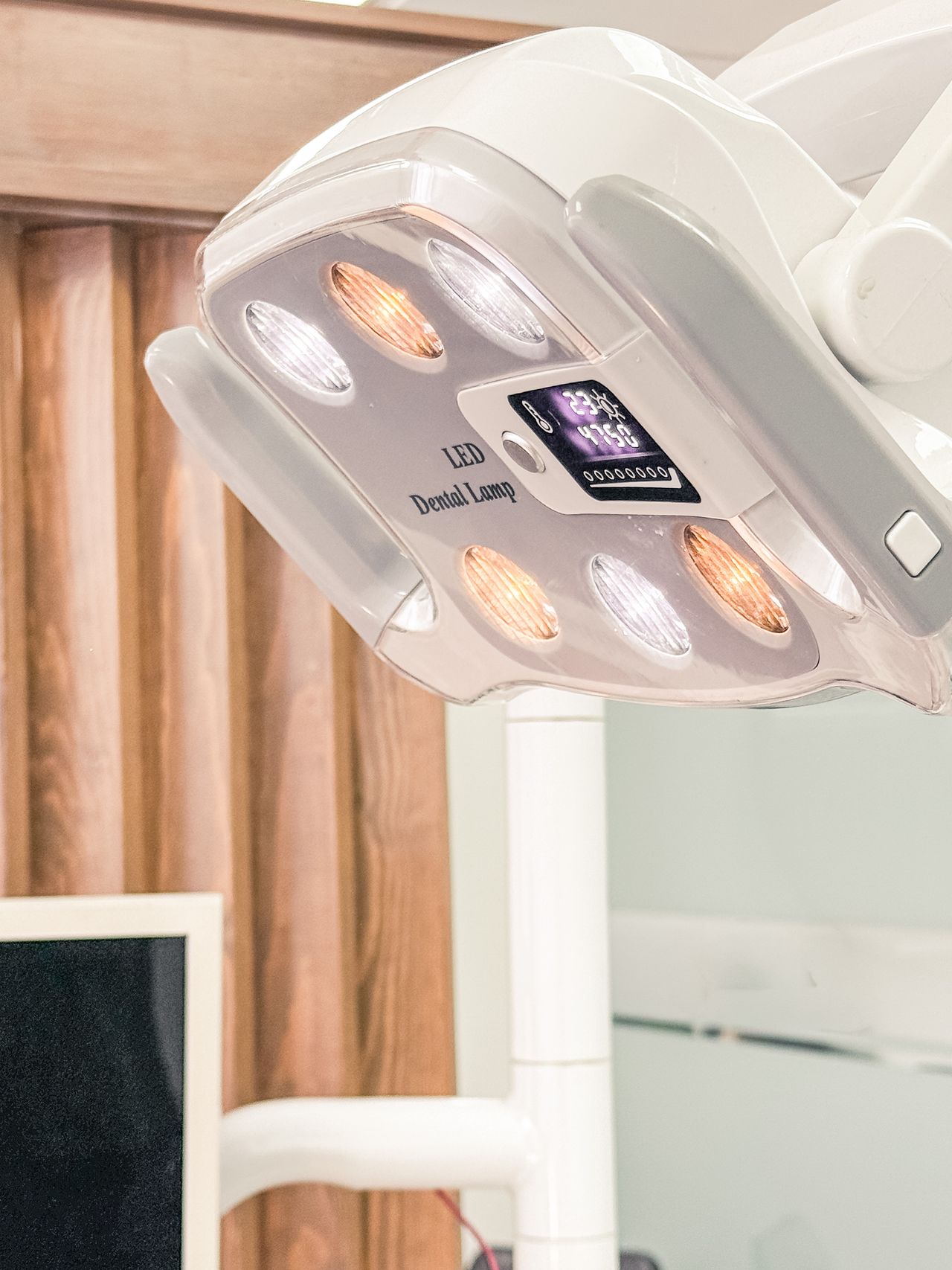 Brenda Carmona Molina-4