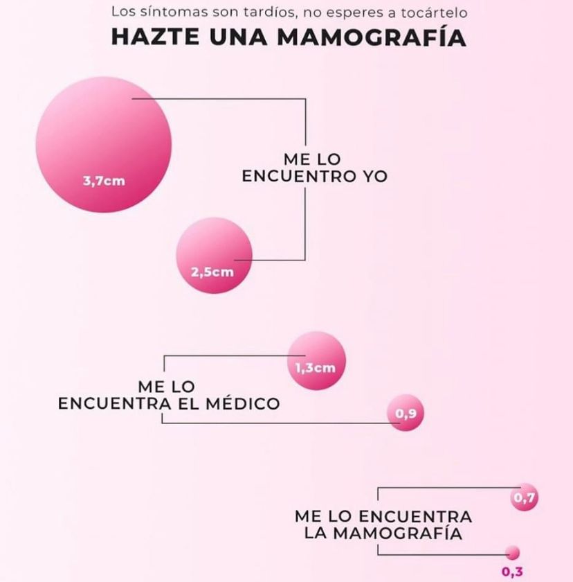 Cinthya Priscilla Castellanos Durán-6