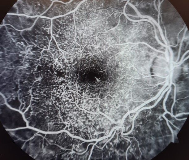 Andrés Gutiérrez Gómez-3