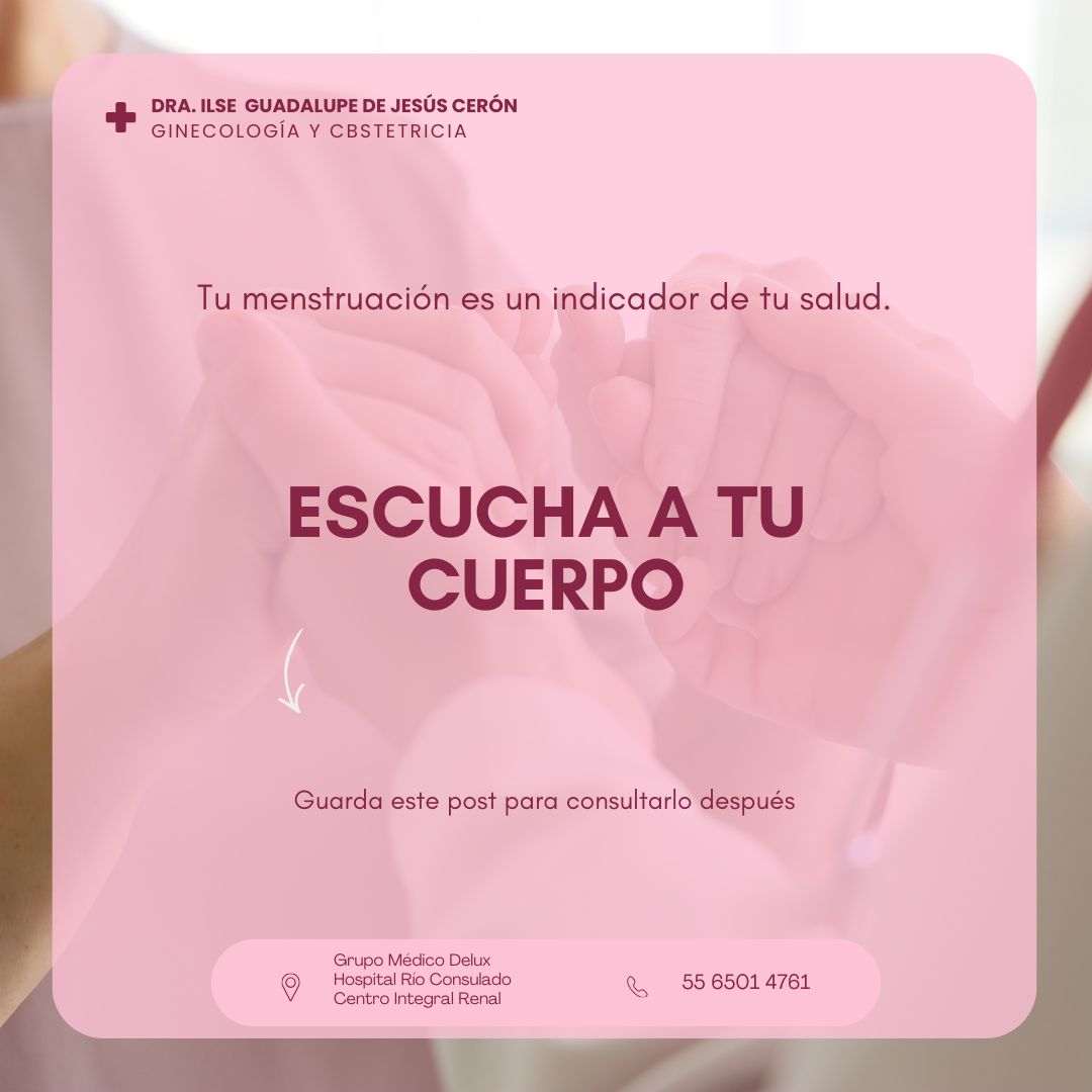 Ilse Guadalupe De Jesús Ceron-29