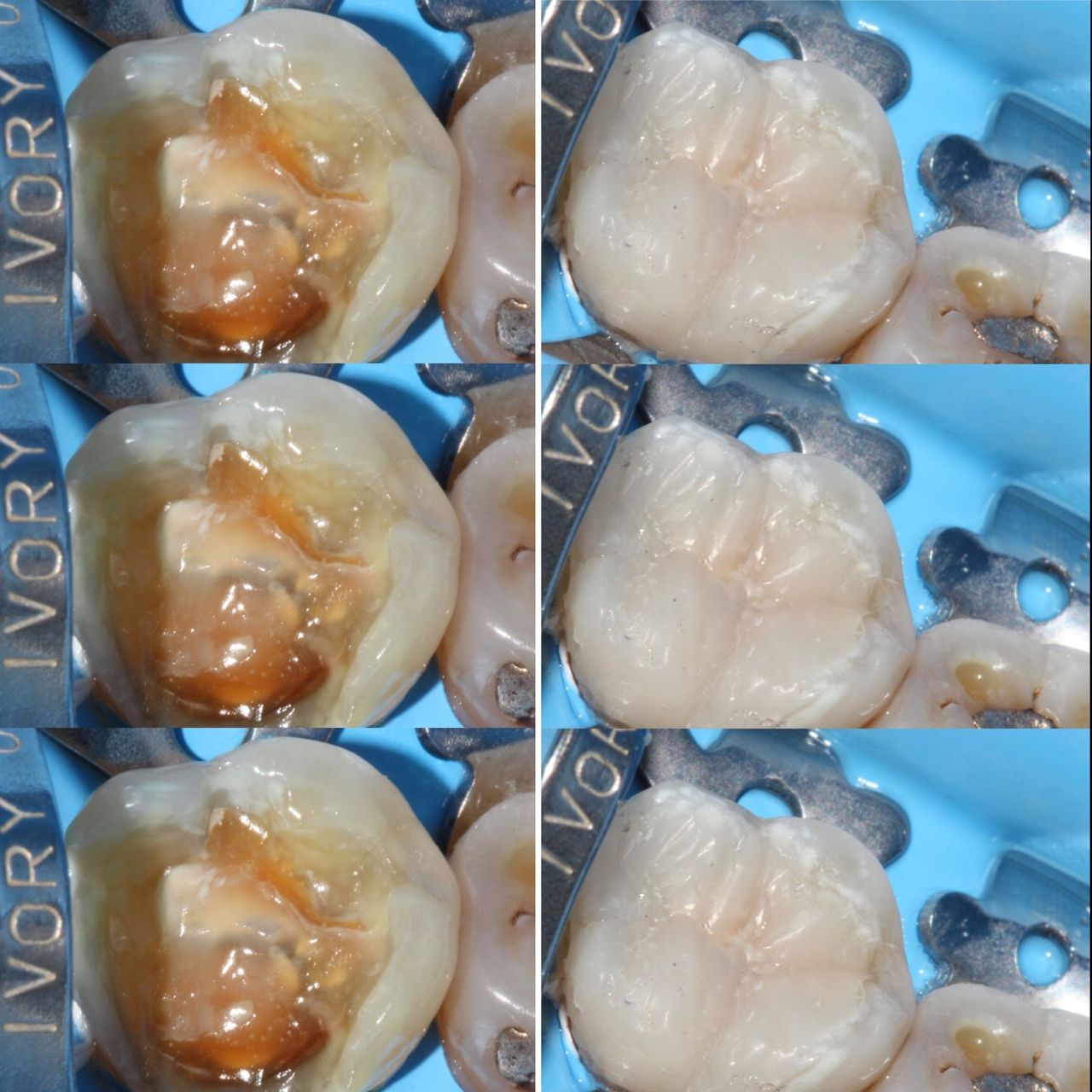 Karla Alvarez Treviño-10