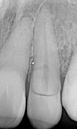 Esmeralda Candida Guerrero Pimentel-38