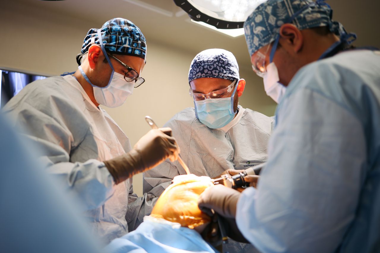 José Emmanuel Vargas Jasso-17