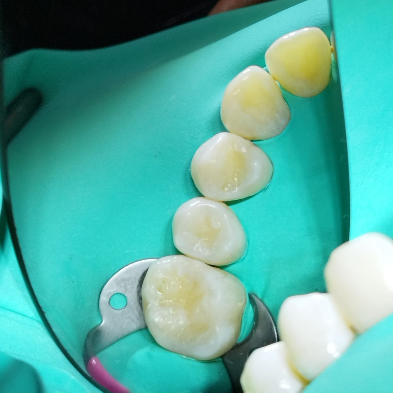 Maribel Domínguez G.-4