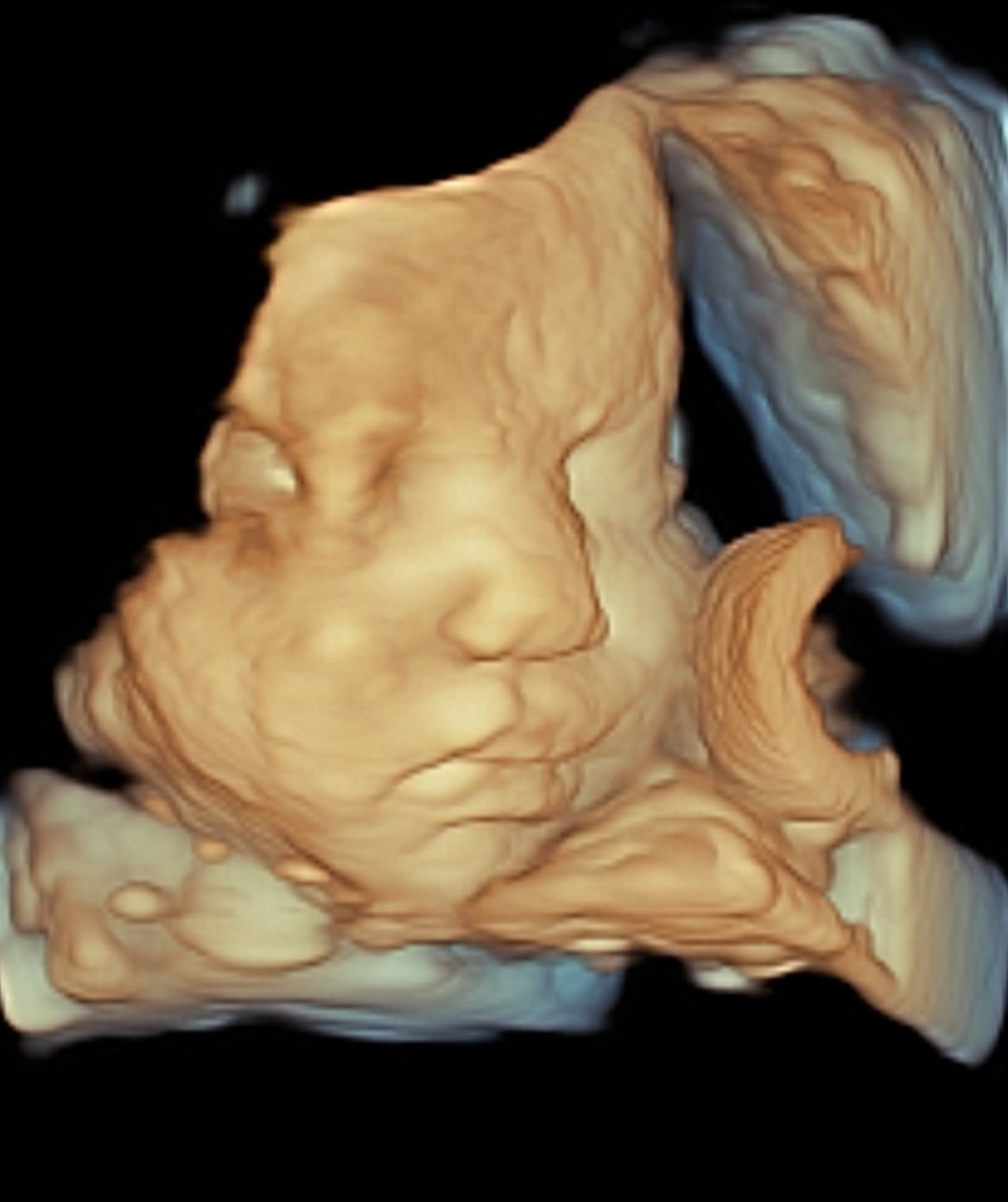 Habacuc Ortega Uriostegui-2