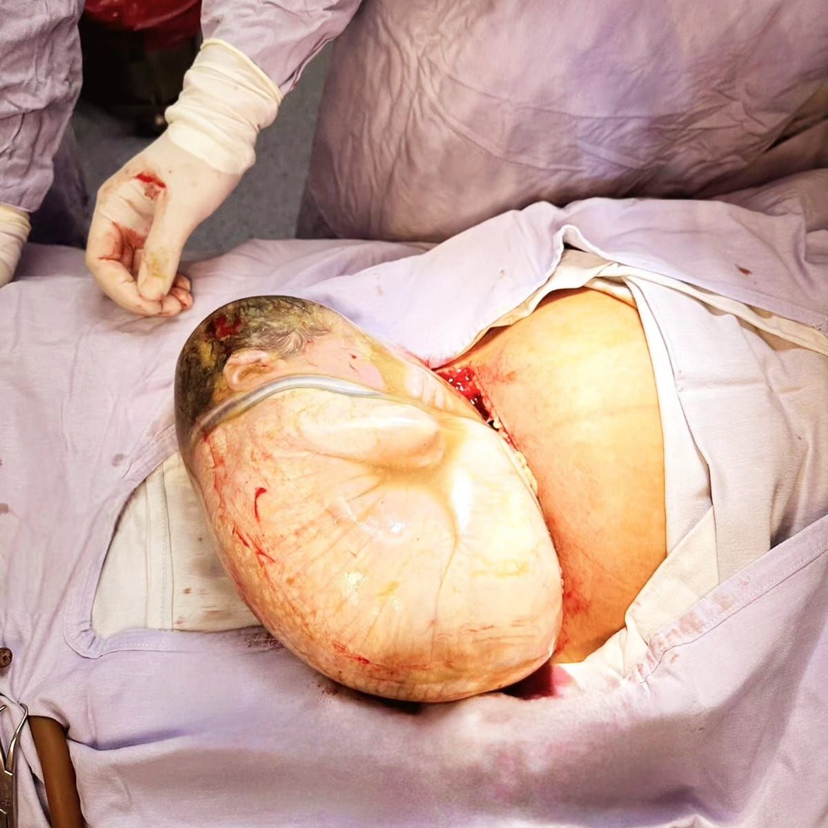 Heidi Rodriguez Alfaro-5