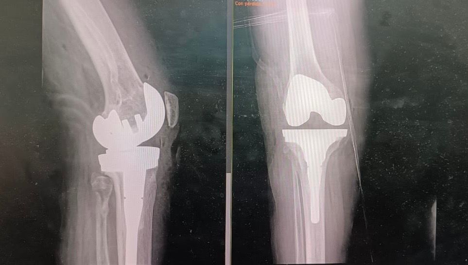 Viridiana Mena Villalobos-4