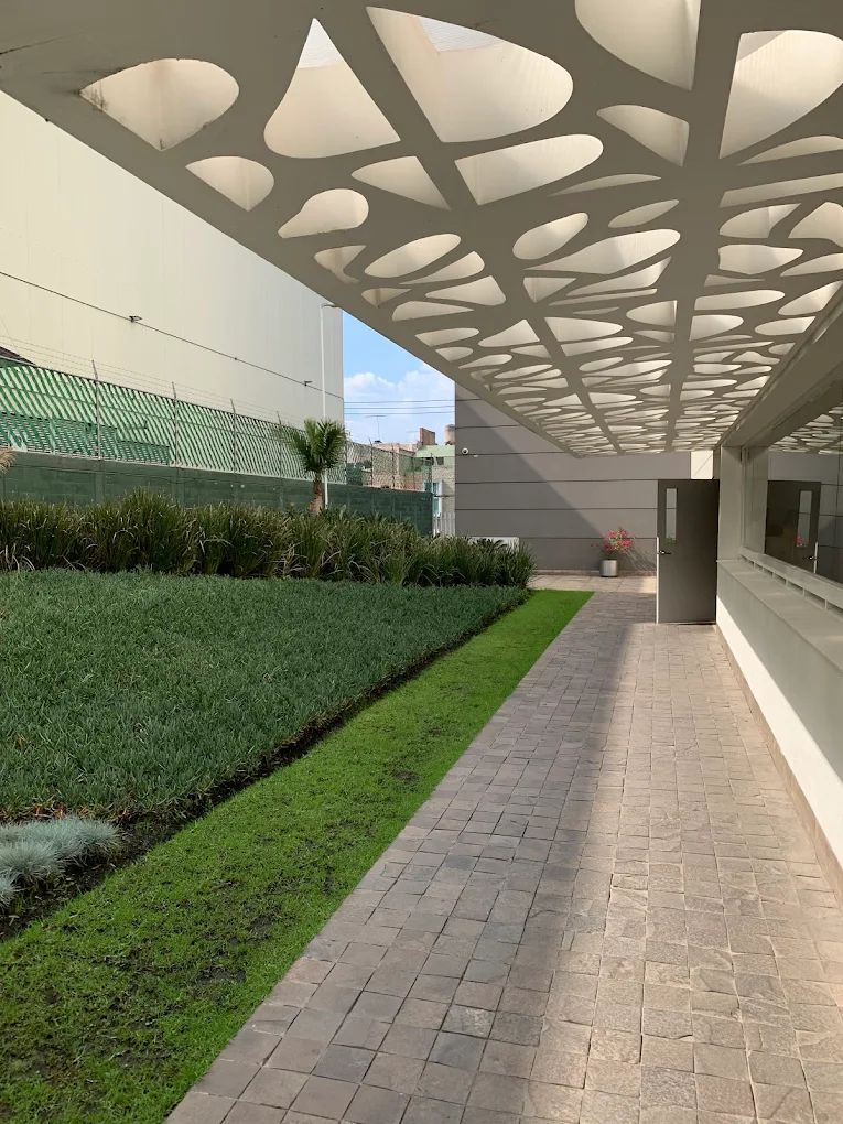 Lilia Anahi Baños Hernández-1