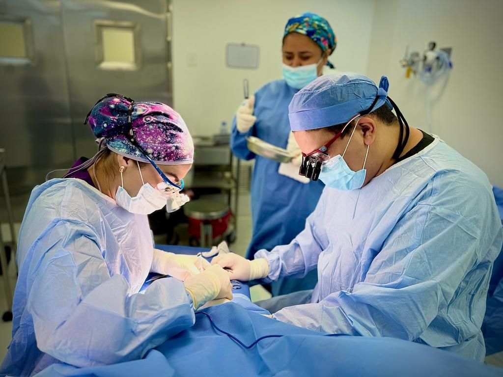 Karen Prieto Reyes-1