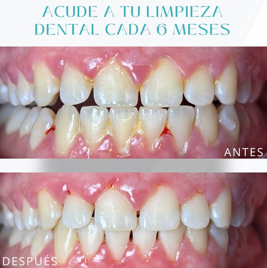 Alejandro Zamora Córdova-18