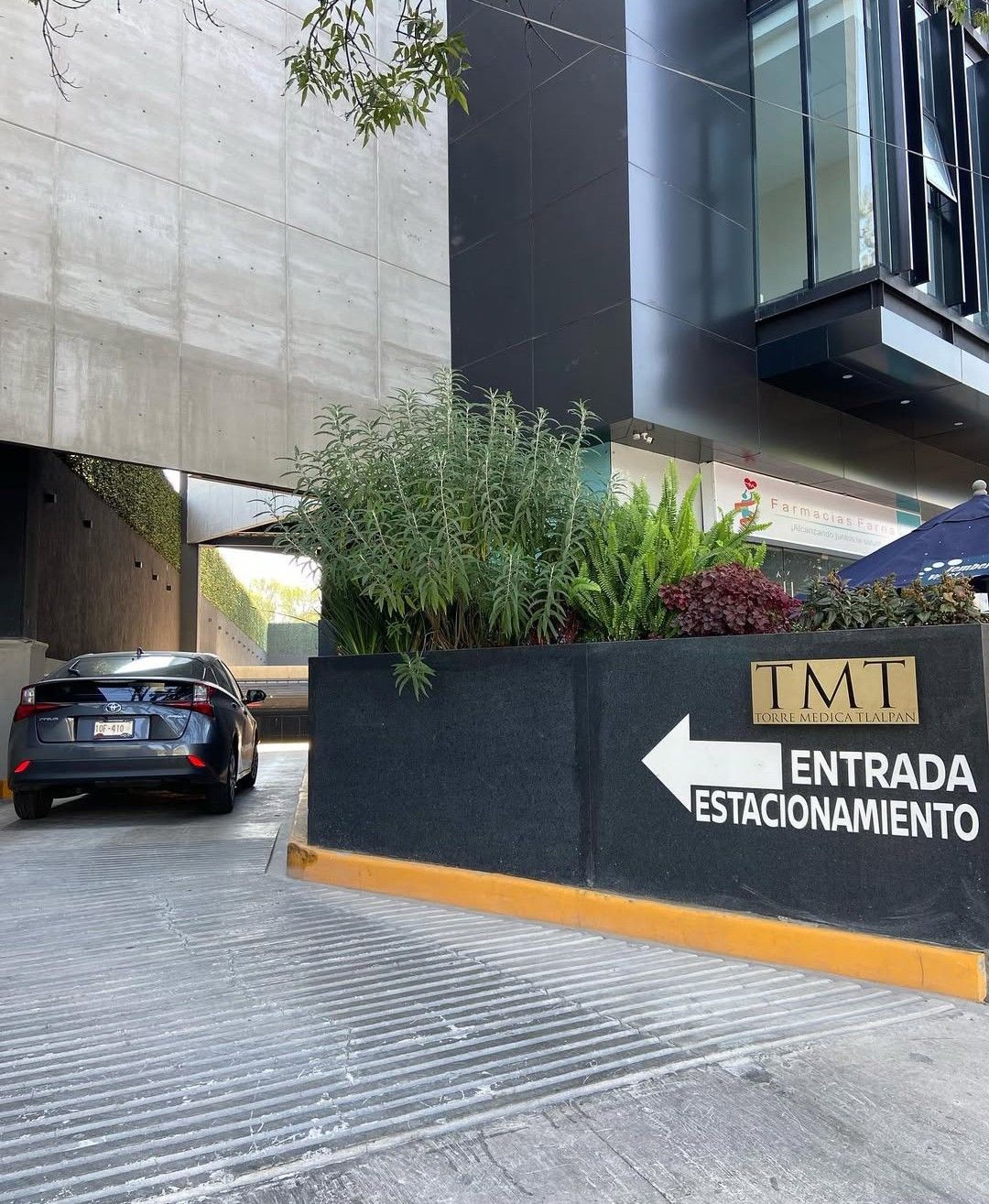 David Adrián Ramos Coria-8