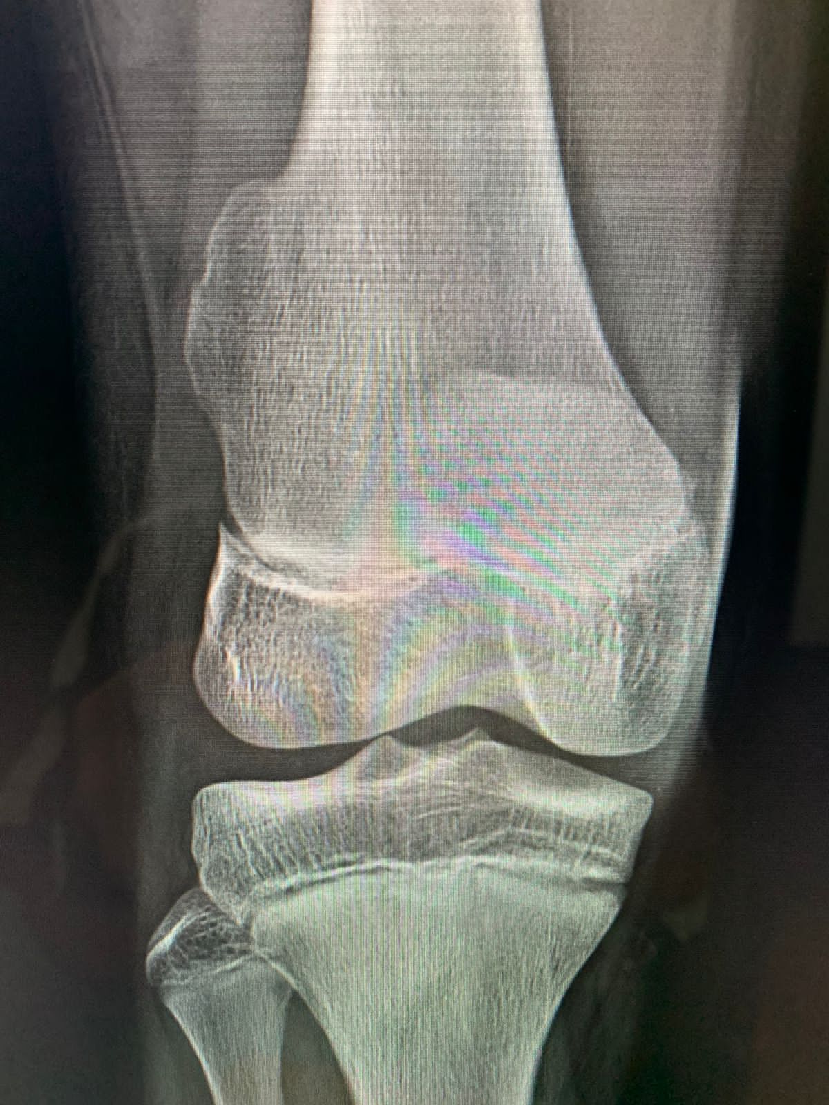 Francisco Sandoval Pérez-2