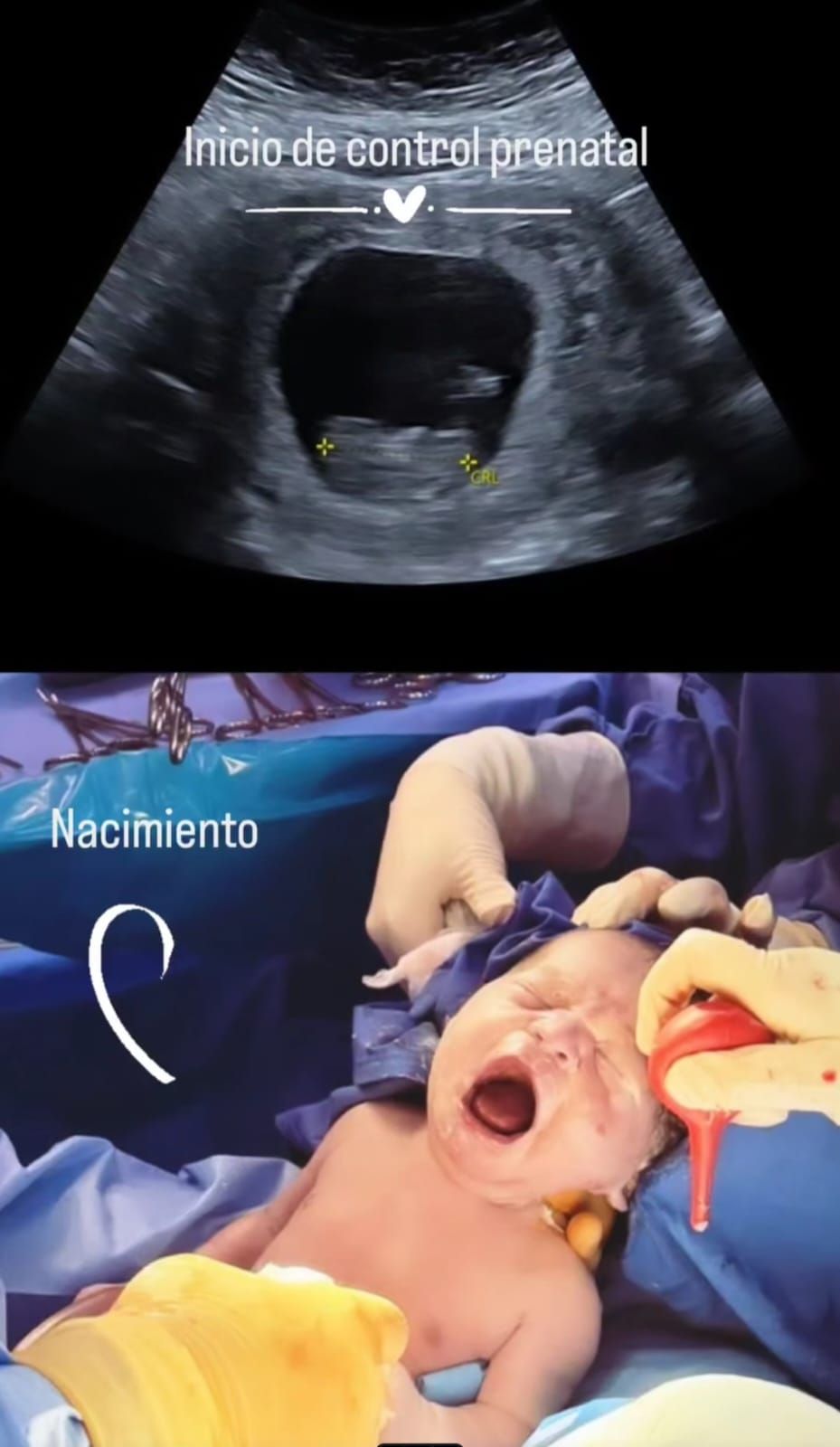 Yoshio Omar Payan Enciso-9