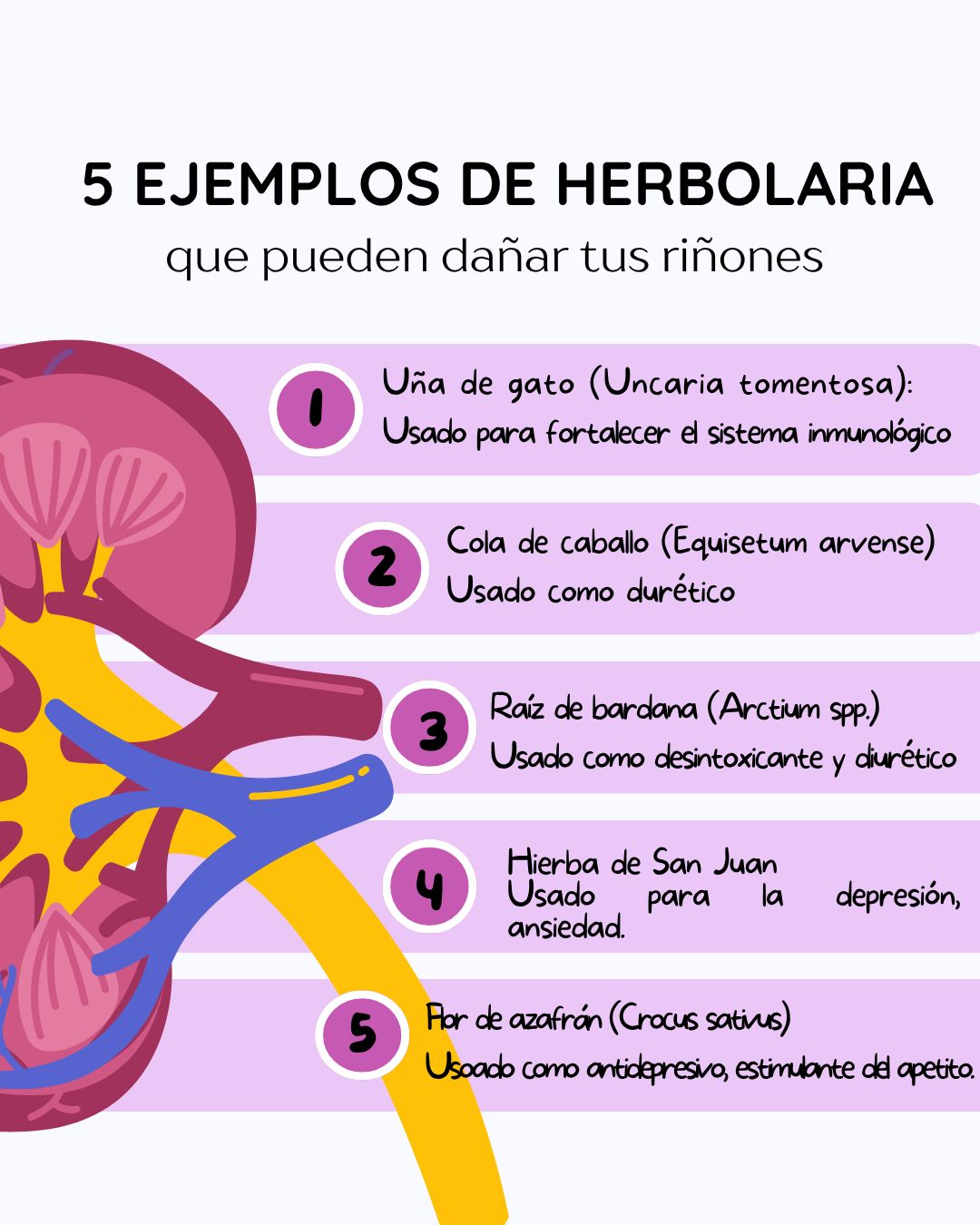 Ana Karen Ramirez Iracheta-38