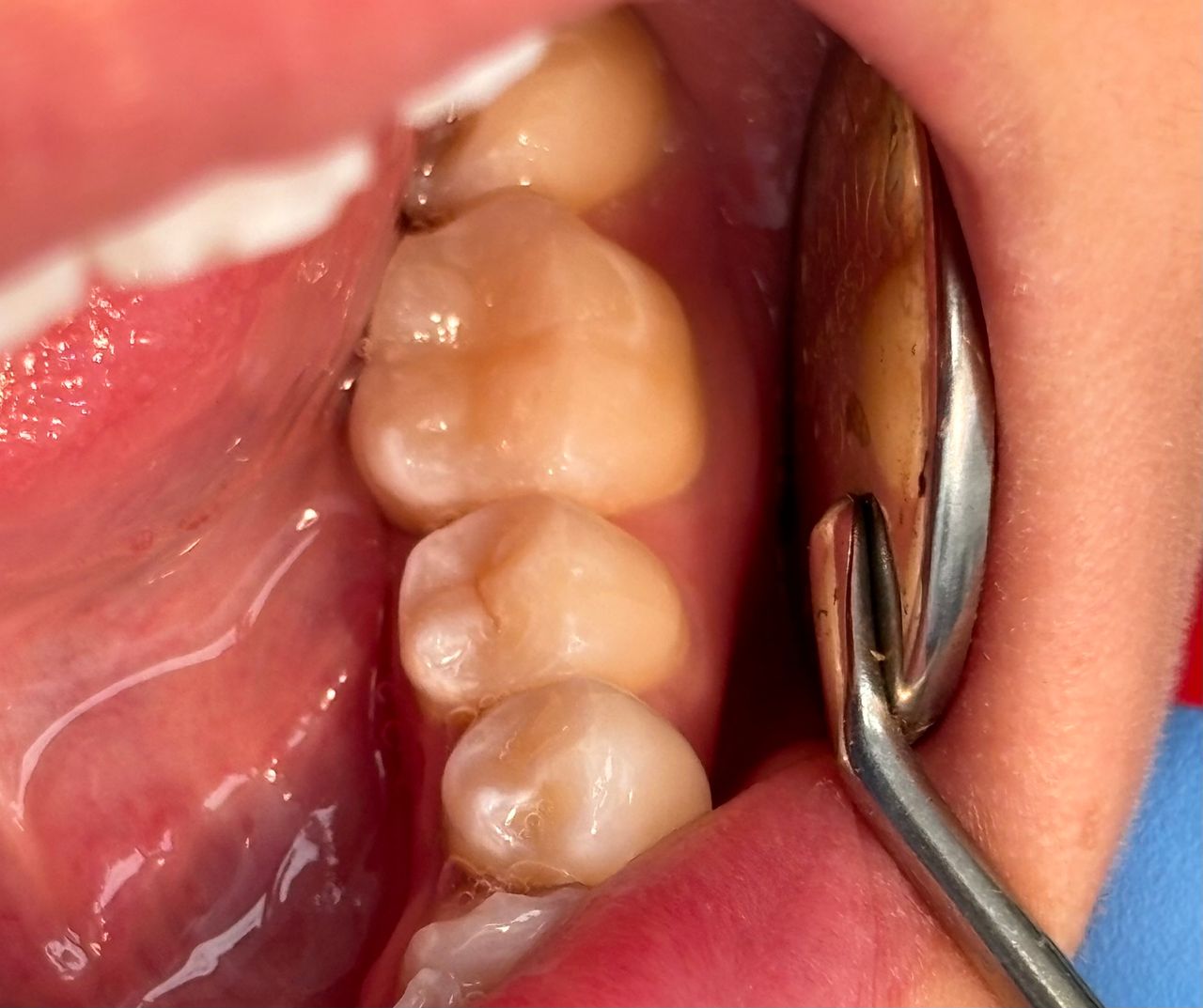 María Paula  Flores Novoa-49