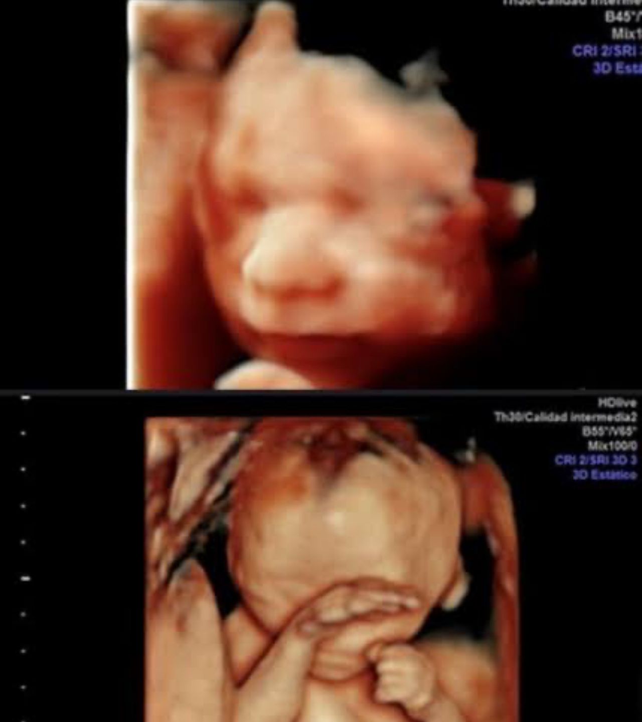 María Teresa Flores Molina-2