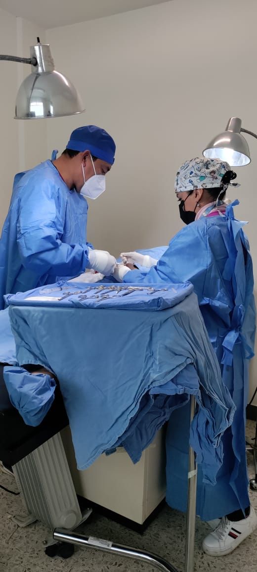 Mónica Gabriela Araujo Bermeo-6