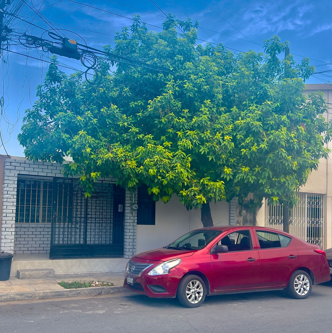 Juan Camarillo-4