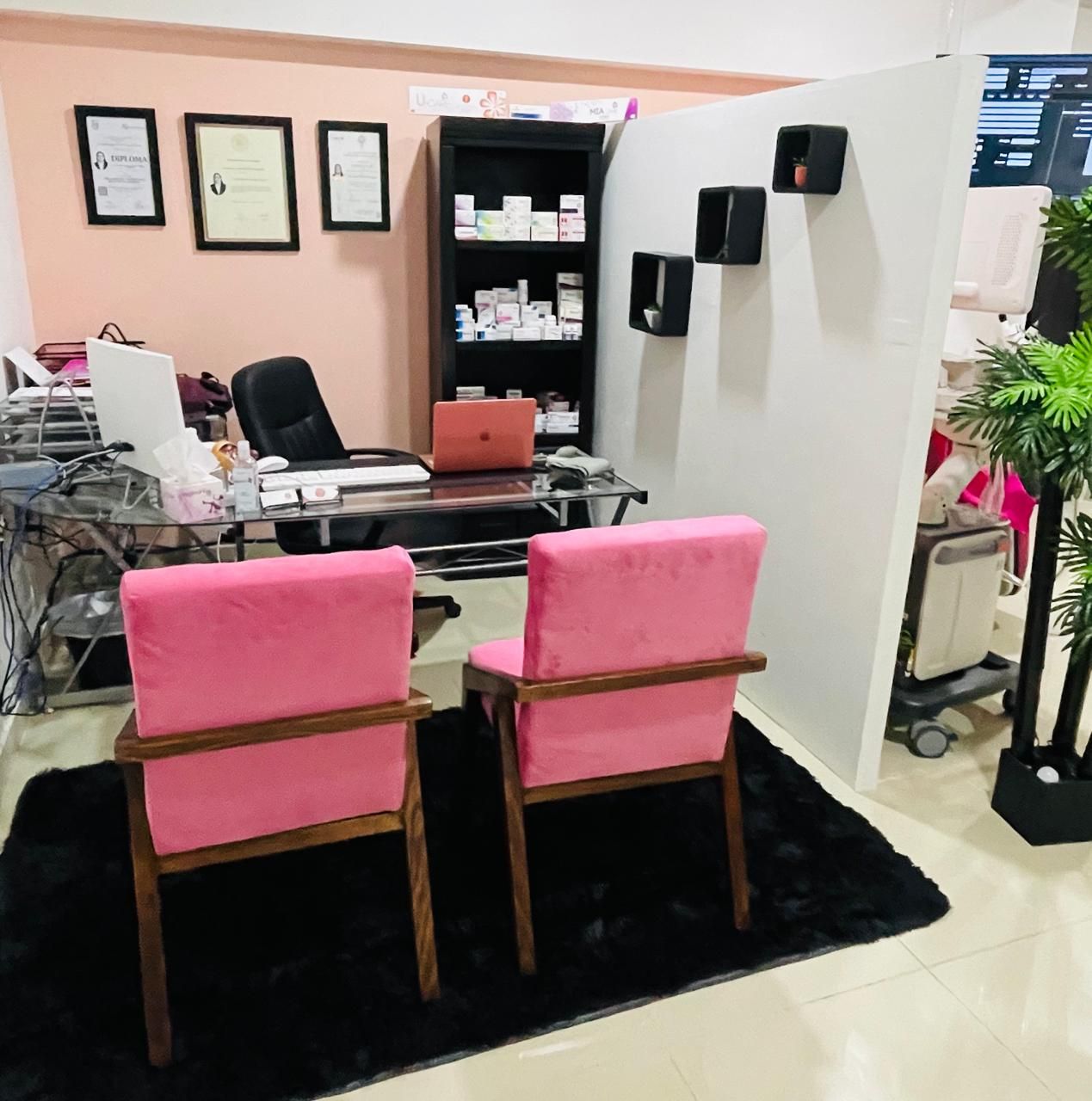 Angelica Nahirovic Torres Quiroz-1