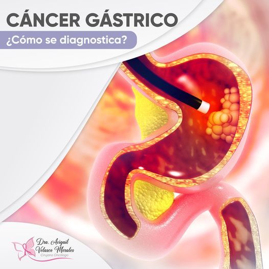 Avigail Soveida Velasco Morales-5